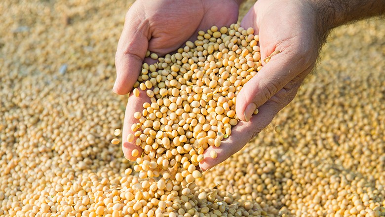 contabilidade em toledo agricultura